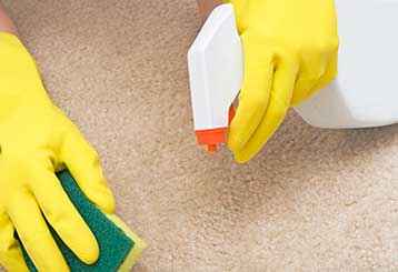 Eco Friendly Products and Its Purpose | Beverly Hills Carpet Cleaning