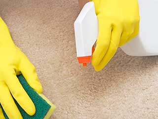 Eco Friendly Products and Its Purpose | Carpet Cleaning Beverly Hills